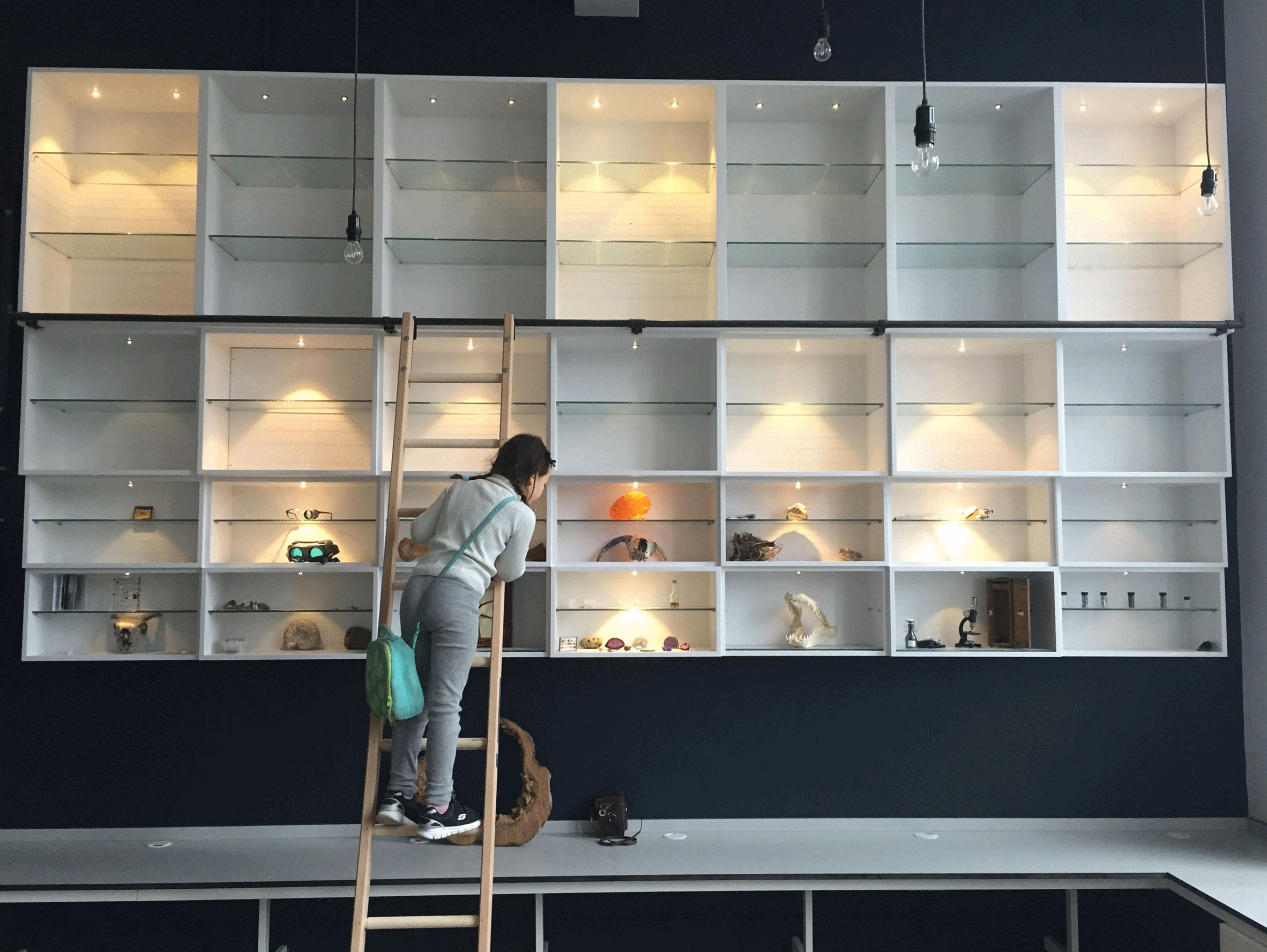 q-science-lab-yerbury-primary-school-charles-tashima-architecture-london-uk_dezeen_2364_col_4