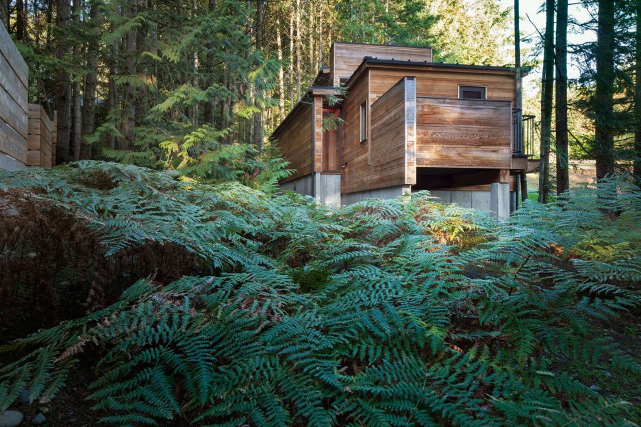 Rainforest Retreat by Agathom Co.