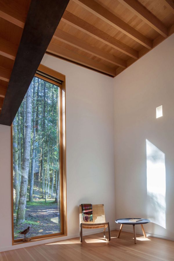 Rainforest Retreat by Agathom Co.