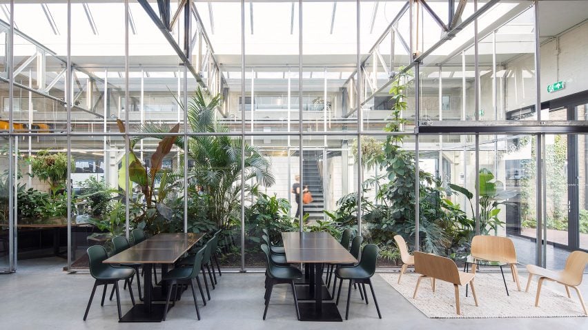 Space Encounters converts Amsterdam factory into greenhouse-filled offices
