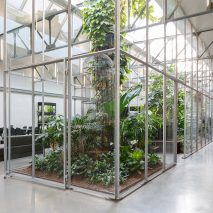 Space Encounters converts Amsterdam factory into greenhouse-filled offices