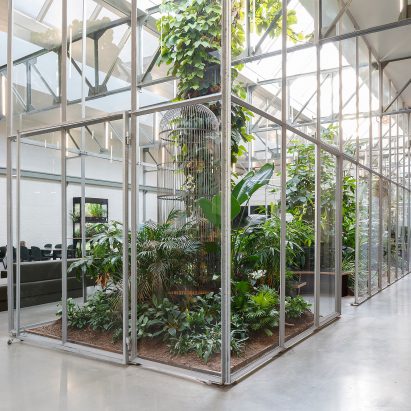 Space Encounters converts Amsterdam factory into greenhouse-filled offices