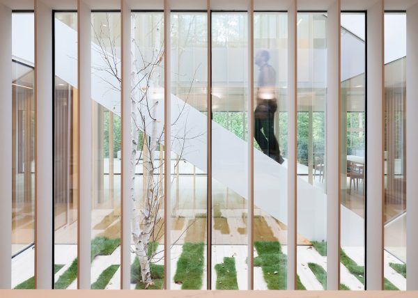 TR House by PmmT Architects