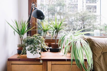 barbican-residents-photography-book-anton-rodriguez-residential-interiors-lucy-james_dezeen_2364_col_1