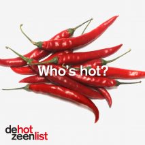 Dezeen Hot List