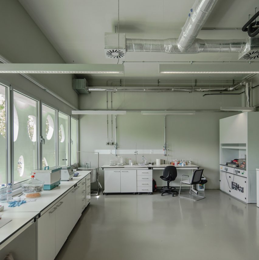 IBS Institute of Science and Innovation for Bio-sustainability by Claudio Vilarinho