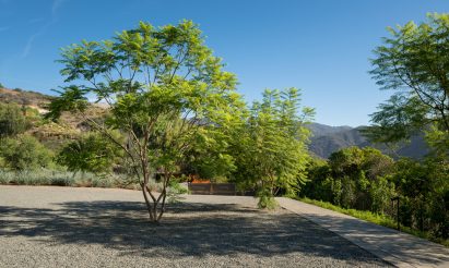 Malibu Hillside by Michael Goorevich
