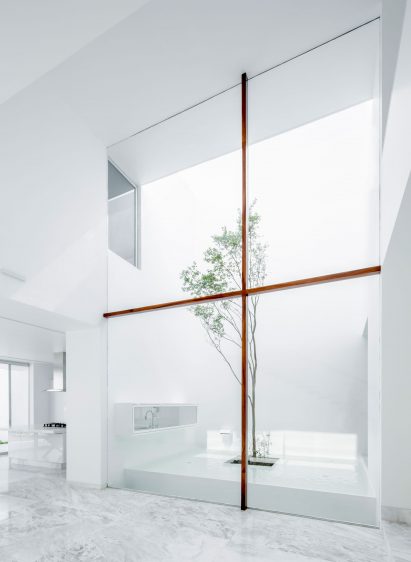 V House by Abraham Cota Paredes