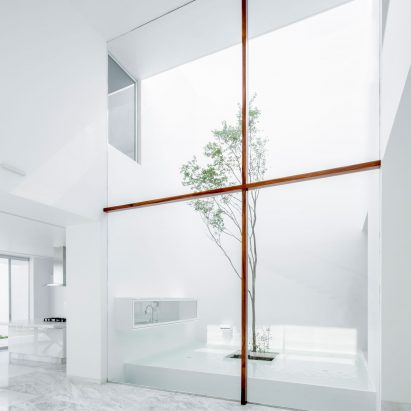V House by Abraham Cota Paredes