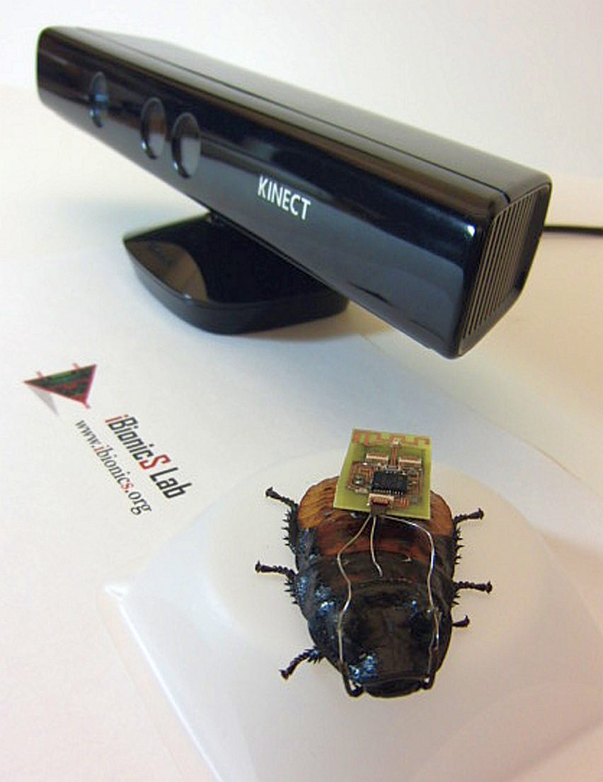 Cyborg insects map out disaster zones