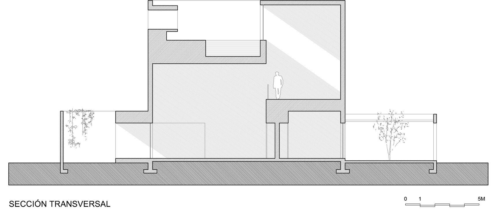 Domus Aurea by GLR Arquitectos and Alberto Campo Baeza, cross section