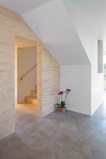 Elephant House by Faye and Walker Architecture