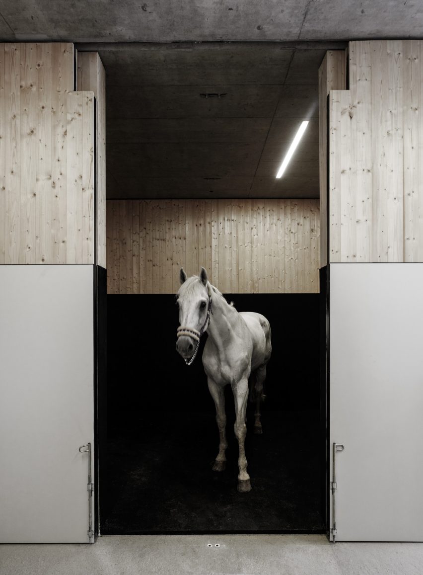 Griss Equine Veterinary Practice in Austria by Marte Marte Architects