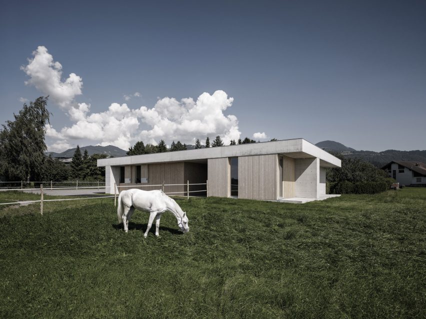 Griss Equine Veterinary Practice in Austria by Marte Marte Architects