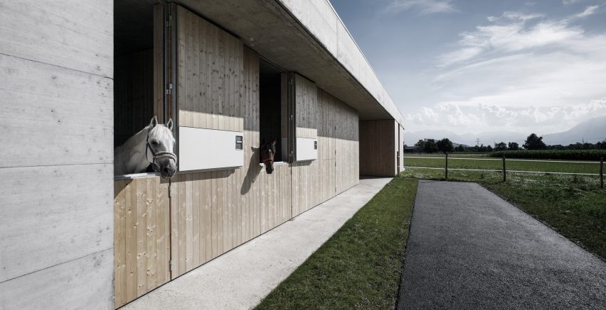 Griss Equine Veterinary Practice in Austria by Marte Marte Architects
