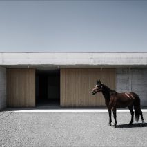 Griss Equine Veterinary Practice in Austria by Marte Marte Architects