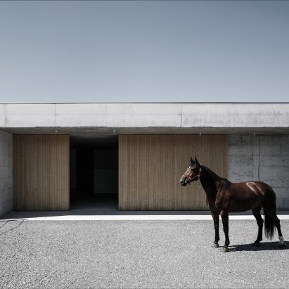 Griss Equine Veterinary Practice in Austria by Marte Marte Architects