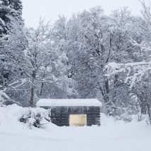 Merry Christmas from Dezeen