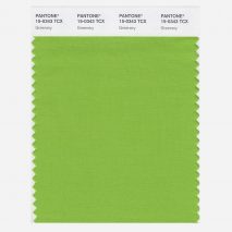 Pantone names Greenery its 2017 colour of the year