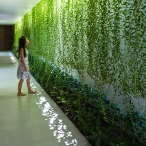 MIA Design Studio envelopes Vietnam house in plant-covered walls and courtyards