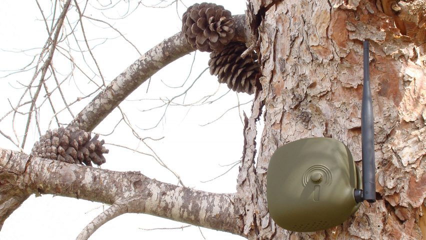 Senticnel tree alarm by Eli-Gutierrez Studio helps stop forest fires spreading