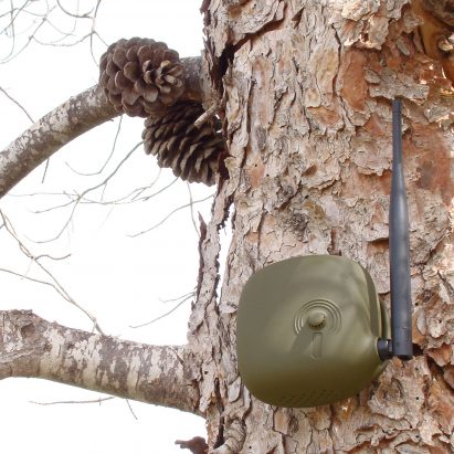 Senticnel tree alarm by Eli-Gutierrez Studio helps stop forest fires spreading