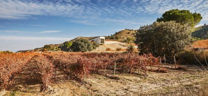 Valdemonjas winery in Spain by Agag + Paredes