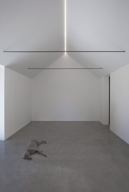 Blackwood Studio by Adam Kane Architects