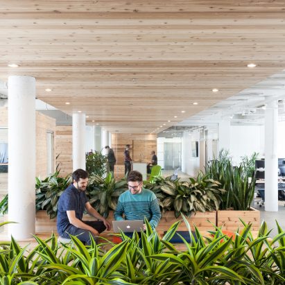 Bureaux OVH by Atelier Pierre Thibault