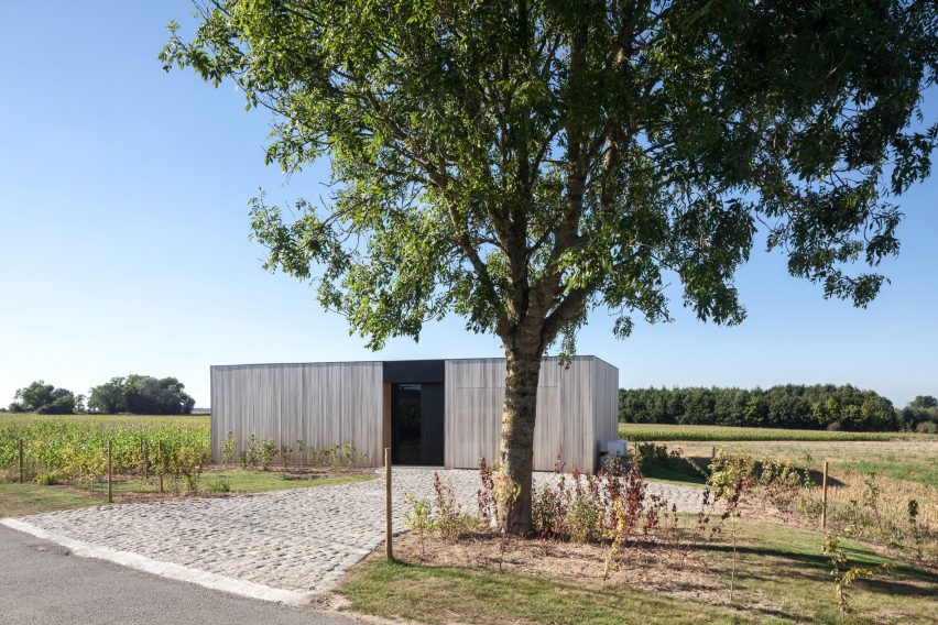 CASWES House by TOOP Architecture
