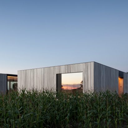 TOOP Architectuur arranges timber and concrete house around a recessed patio