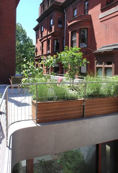 Clinton Hill Courtyard House by O'Neill McVoy