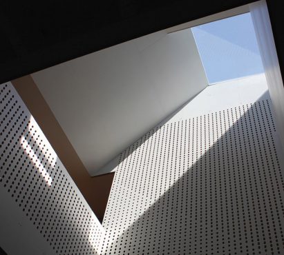 Clinton Hill Courtyard House by O'Neill McVoy