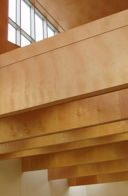 Loreto Community School; County Donegal, Ireland, 2006, by Universita Luigi Bocconi School of Economics; Milan, Italy, 2008, by Grafton Architects