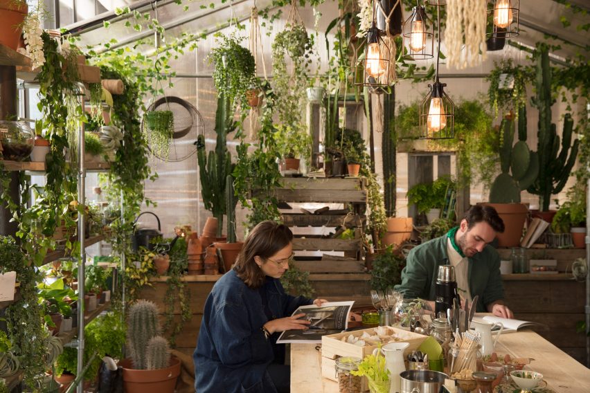 Greenery apartment installation by Airbnb and Pantone