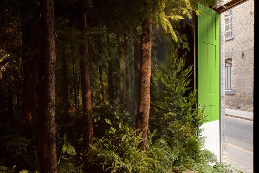 Greenery apartment installation by Airbnb and Pantone