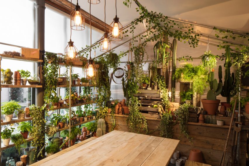 Greenery apartment installation by Airbnb and Pantone
