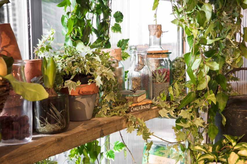 Greenery apartment installation by Airbnb and Pantone