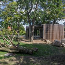 Tasmanian kangaroos move into White Arkitekter’s new Copenhagen Zoo enclosure