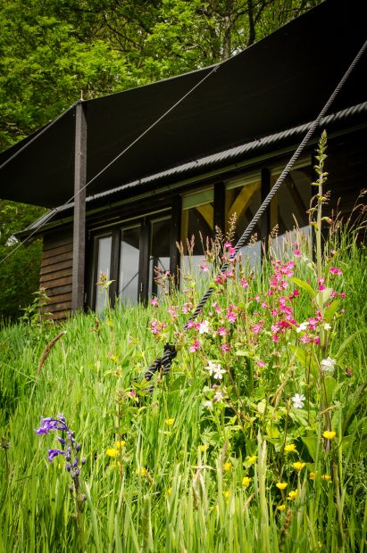 Oak cabin by out the valley