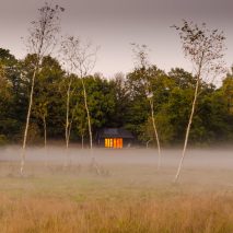 Out of the Valley offers escapism with off-grid cabin made of oak and cedar