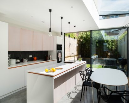 Tandom house extensions by Architecture For London