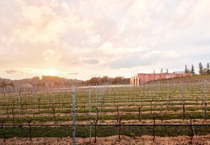 The Mont-Ras Winery in Girona by Jorge Vidal Arquitectos