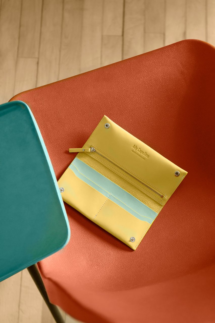 Ally Cappelino bags