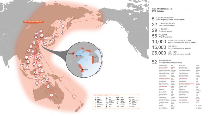 East Asian–Australasian Flyway statistics