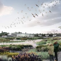 McGregor Coxall proposes wetland “bird airport” for northern China