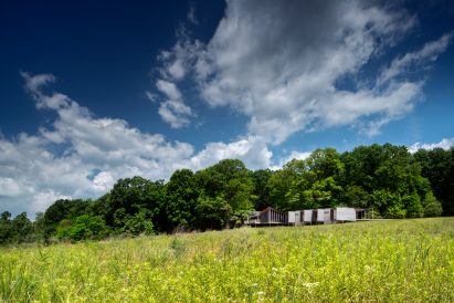 Fallingwater cabins