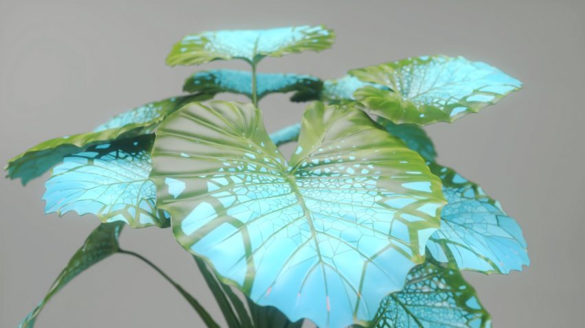 Screens of the Future- visionary video art from Universal Everything