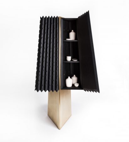 The Agave Cabinet by Esrawe Studio