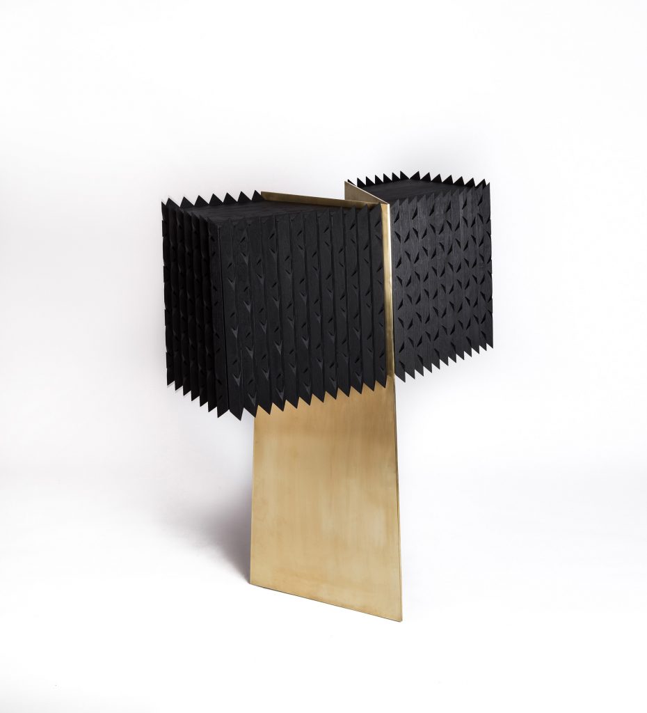The Agave Cabinet by Esrawe Studio